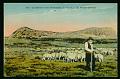 Mezeno Paturages Berger Cevenol carte postale ancienne