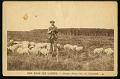 Landes Berger filant sur ses Echasses carte postale ancienne