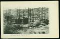 Brulon Ruines de l Ile carte postale ancienne