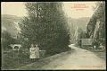 Saint Leonard des Bois Gorges carte postale ancienne