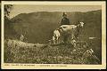 Munster Chevres metier paysan carte postale ancienne