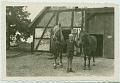 Doms�hl Pferde Junge Kind altes Foto Heimatbeleg