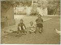 Brouette Poules Enfants jouet photo ancienne