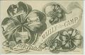 Mailly le Camp Porte Bonheur Feuille de trefle
