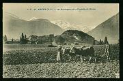 Arudy Boeufs Chapelle St Michel carte postale ancienne