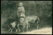 Hardelot La Fille aux Chevres carte postale ancienne