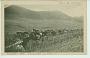 67 Bassemberg Ville Carte postale ancienne