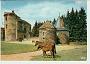 19 Pompadour Domaine carte postale ancienne Limousin Cheval