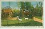 37 Tours Zoo carte postale ancienne Indre-et-Loire Centre