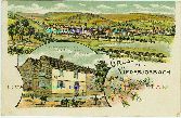 Eppstein Niederjosbach H. STEYER Litho Ansichtskarte Heimatbeleg
