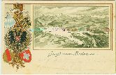 Bodensee Strukturkarte Wappen Litho alte Ansichtskarte