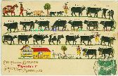 K�he Cows vaches STRUKTUR Montreux carte postale ancienne