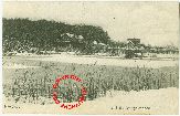 4900 Nakskov Svingelmosen Aarup Carte postale ancienne