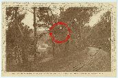 83 Hy�res Var C�te-d�Azur Carte postale ancienne