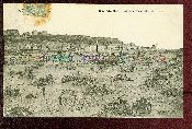 35 Cancale Le Triage des Huitres Carte postale ancienne