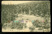 88 Saint-Di� maison foresti�re Carte postale ancienne