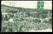 51 Avize pr�s �pernay Oger Cramant Carte postale ancienne