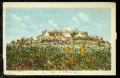 Zitouna Militaires Soldat Carte postale ancienne