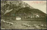 65 Lourdes funiculaire mouton Carte postale ancienne