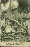 11 Carcassonne Bonbonnerie Ouragan Carte postale ancienne