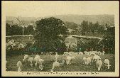 89 Villeneuve-sur-Yonne mouton Carte postale ancienne