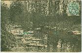 93 Gournay Chelles yole barque Carte postale ancienne