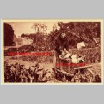 94 Fontenay-sous-Bois Jardin Moine Carte postale ancienne