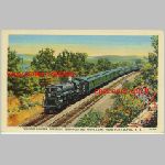 New York Port Jervis train the ERIE vintage postcard