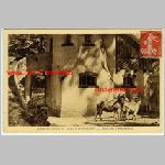 68 Mulhouse Zoo Mouflons a Manchettes Carte postale ancienne
