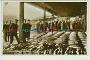 Aberdeen Fish market vintage postcard marche de poissons