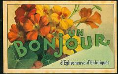 Cartes Postales anciennes PLANTES